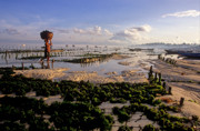 25 - Cultivatrice d algues à Nusa Lembongan